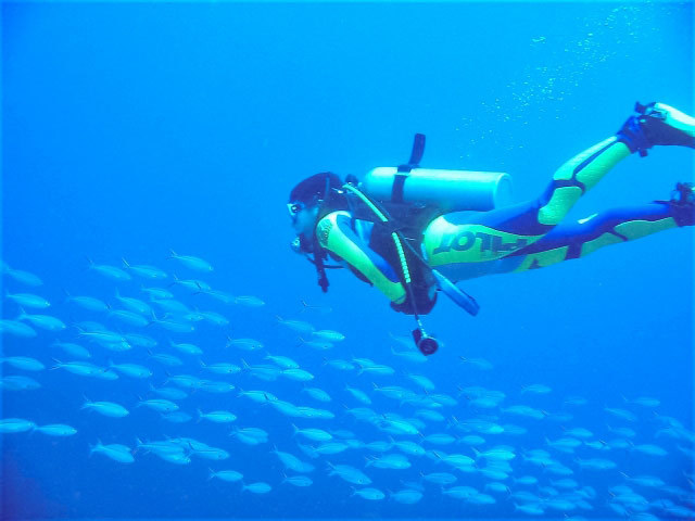 スキューバダイビングと魚群