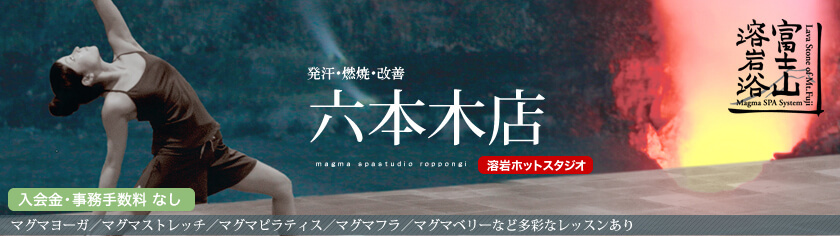 insea 六本木店